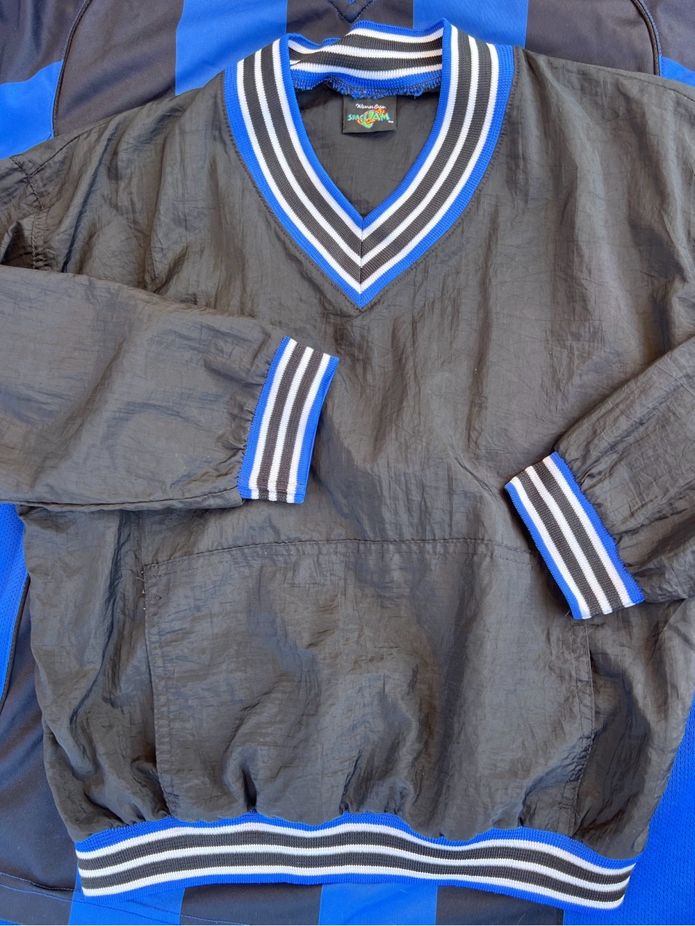 Warner Bros. Space Jam windbreaker